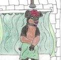 Shower time for puppy (finished ) :P by KingCorgi