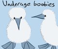 Underage Boobies