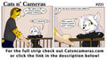 Cats n Cameras - Strip #221 Odd numbers