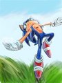 Sonic jump