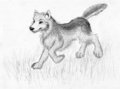 Happy Wolf by Silberwolf