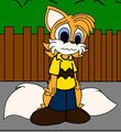 good grief Tails 
