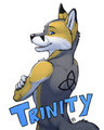 Trinity Badge
