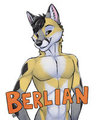 Berlian Badge