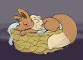 Eevee in a Basket by Telain