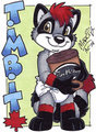 Timbit Raccoon Badge by Marci