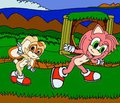 Amy and Cream stuck in a Sega Sonic game 
