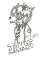 James the husky