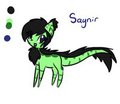 Saynir the dragon pony