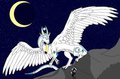 Aurora the Celestial Dragoness and Exodus the Lunar Assassin