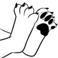 My feet paws