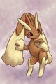 lopunny by pusZN