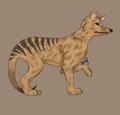 Thylacine by tuffluv