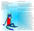 wolfie refence sheet