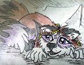 Gypsy Raccoon - feral version (colored sketch)