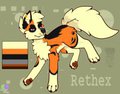 Cutie Character Feral Pose sheet! <3 by Rethex