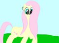 Fluttershy and a fly