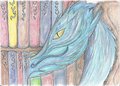 The Dragon's Library
