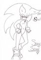 Seme Sonic  by shadowbabygirl92