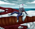CO - The arctic fox by Eyenoom