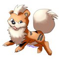 Left Hand drawing of Growlithe
