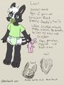 Lexi Ref Sheet by SkaDoodle