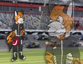 furry 500 poster