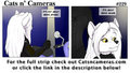 Cats n Cameras - Strip #229 Travelling with Company