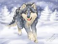 Blue wolf by KolewazakiSan