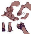 Paw Sketches
