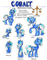 Reference sheet by CobaltTheUnicorn