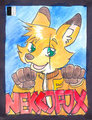 Nekkofox badge RF 2014