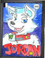 Jordan badge RF 2014