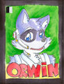 Orwin badge RF 2014
