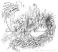 Reef Leviathan Sketch