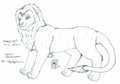 Lion lineart