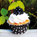 Vanilla & Blackberry Mini Cupcake