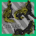 COM: Ciboulon Ref