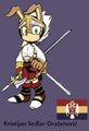 Royal Defender: Kristijan (Full Armor)