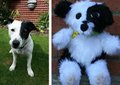 Libby the Dog Plushie Comparison by KitsuneGemma