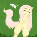 Fluttershy on grass with bunny