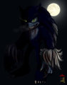 Sonic as a werehog a Primal version  by HouseCatToshimurra