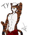 Ty the tiger by TheAlusky