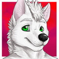 Ghost Wolfos Icon by GhostWolfos