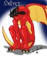 Squatty Dragon by SilverTheDragon