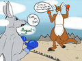 Clash of Titans: Kangaroo V. Bunny