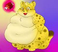 Talia,obese cutie cheetah