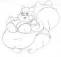 pudgy pachirisu