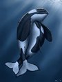 Cuddling Cetaceans by Dolorcin