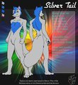 Silver Tail Ref